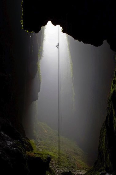 A caver on a rope descending into a mossy Waitomo tomo with daylight above — adventure caving, which none of the tours listed here sells