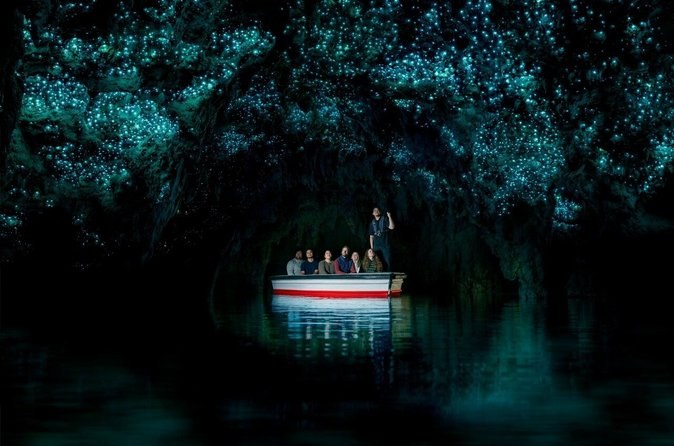 Auckland to Rotorua via Waitomo Caves Small Group Tour (One Way)