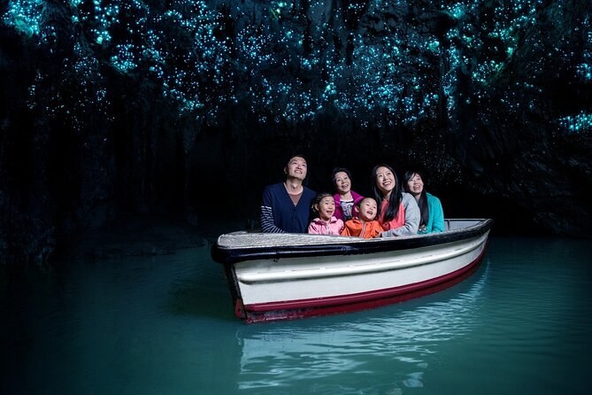 Rotorua to Auckland Afternoon Transfer with Waitomo Glow Worms
