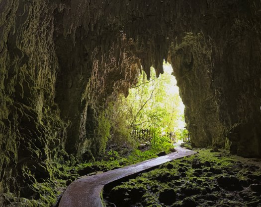 The cave tour is sold on its own and anyone can drive to the door and buy it. Where that saves you money, where it quietly costs you a day, and the one part of the trip a car cannot solve.