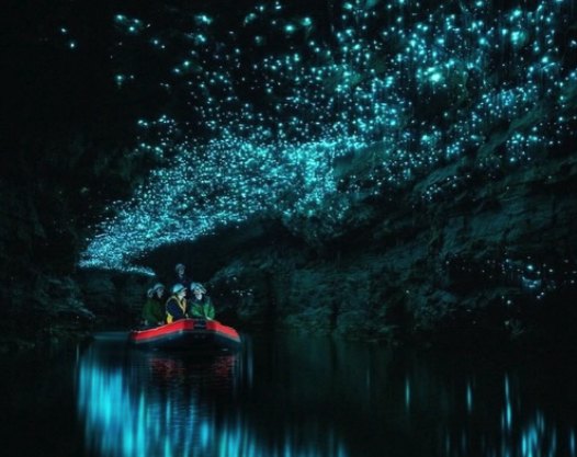 A boat of visitors drifting under a dense ceiling of blue-green glowworm light in the Glowworm Grotto, the lights doubled in the black water below