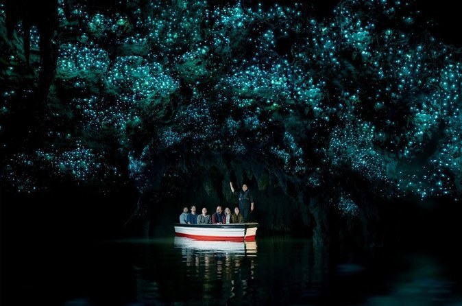 Waitomo Glowworm Caves Guided Tour
