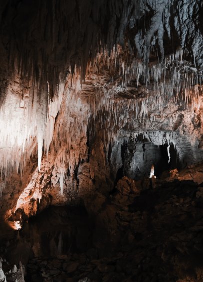 Dense white stalactites and flowstone filling a Waitomo chamber, with a single lit figure at the foot of the wall for scale